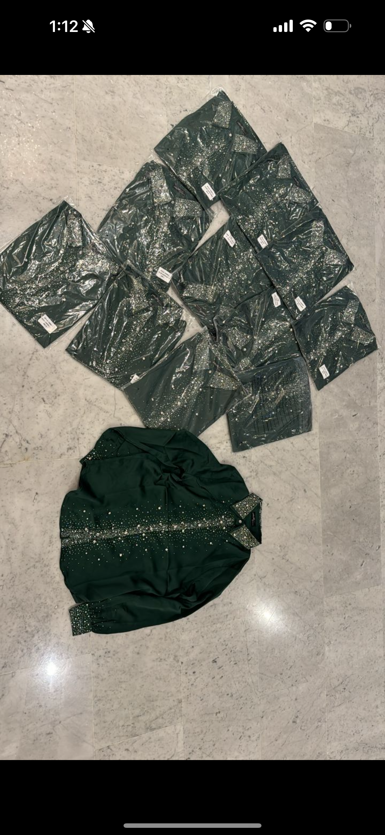 Camisa de seda verde con brillantes plateados