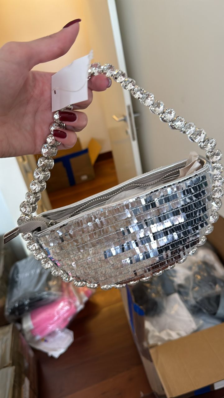 Cartera plateada media luna